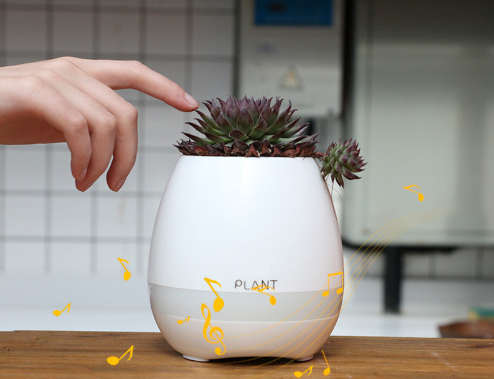 music for succulents Music Pottery Plant Pot Succulent Container Flower Planter