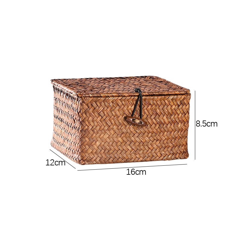 succulent case Willow Wicker Gift Box Plant Pot Case Succulent Container Flower Plant – Succulent Zone